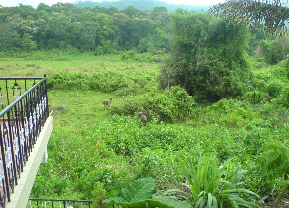 Jungle Palace Homestay Thekkady Kültér fotó